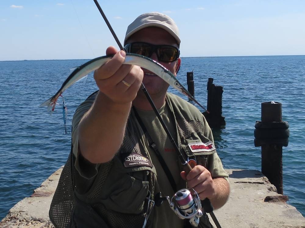 Снасть для ловли саргана в балтийском море - рыба