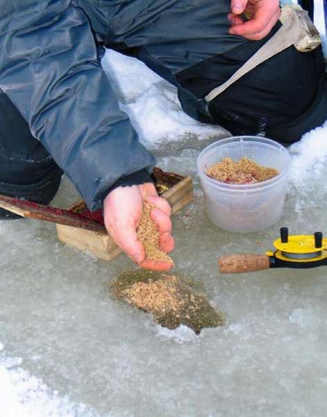 Ловля карпа зимой | все секреты рыбалки на карпа со льда