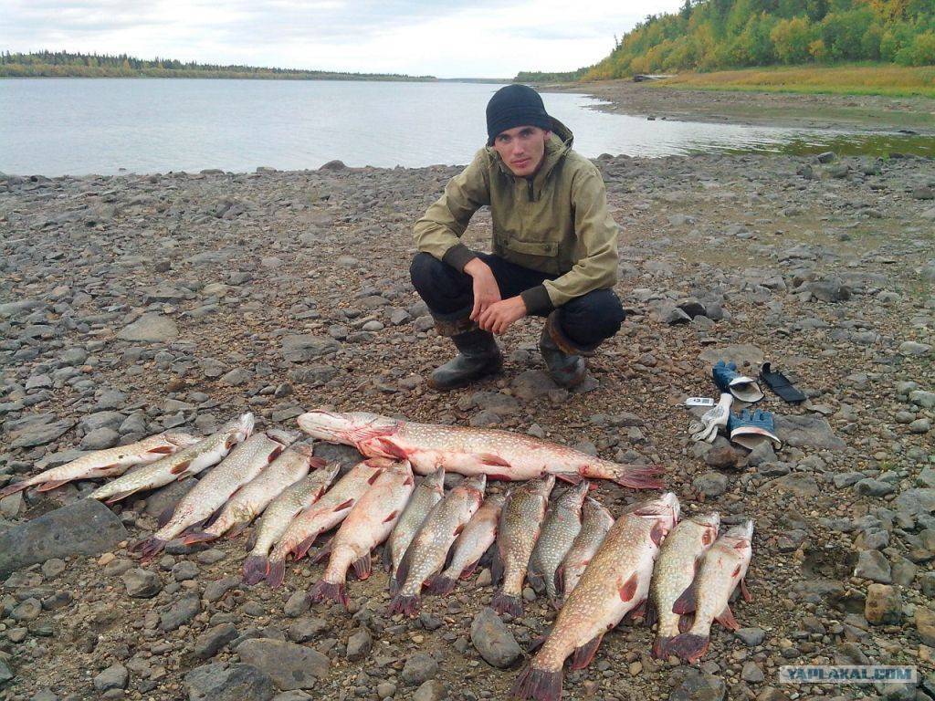 Платная рыбалка в чукотском округе: рыболовные туры, охотничьи базы и водоемы чукотки