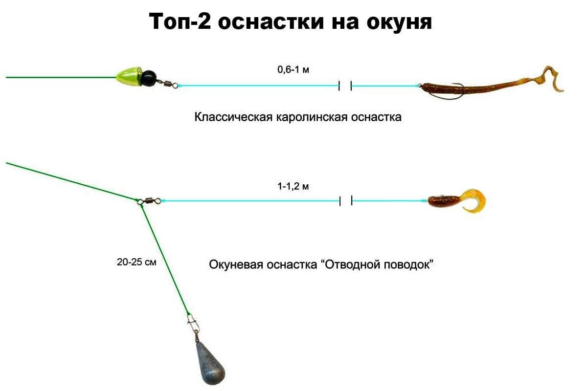 Ловля судака на отводной поводок: советы начинающим :: syl.ru