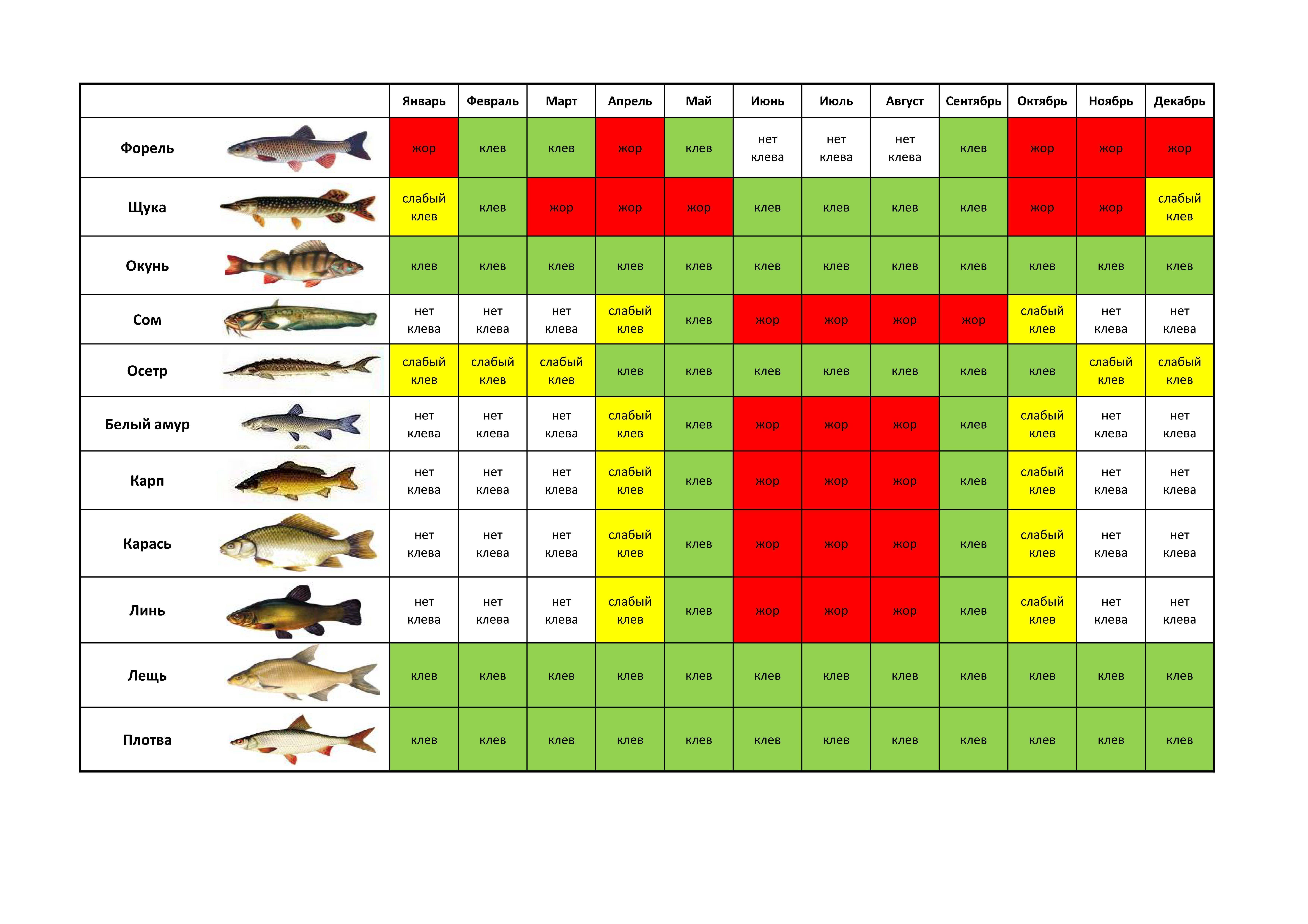 Рекомендации от бывалых рыбаков по ловле щуки в сентябре – хороший клев на спиннинг обеспечен