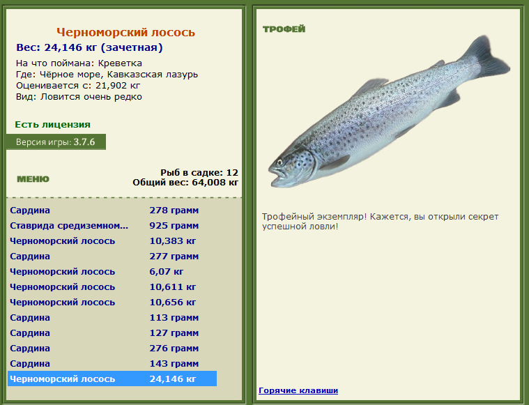Семга — описание рыбы, места обитания, питание, нерест, полезные свойства + 91 фото