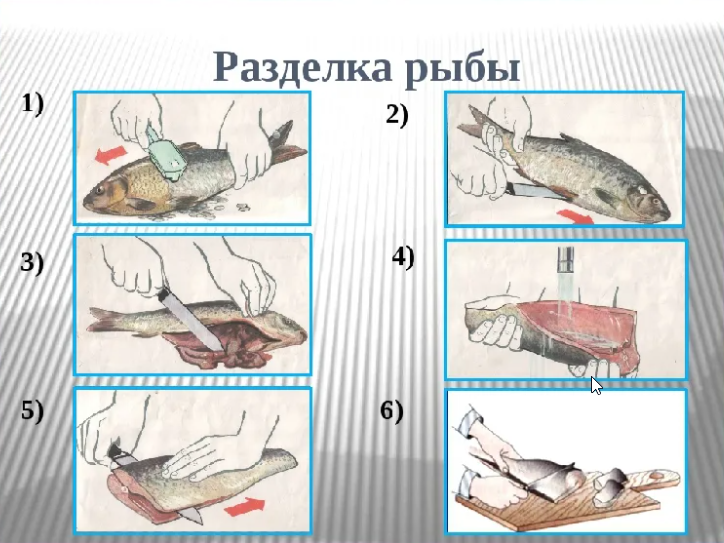 Как сушить рыбу в домашних условиях, рецепты приготовления сушеной рыбы на солнце