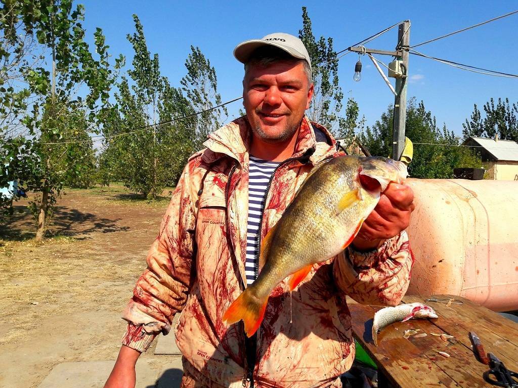 Рыбалка в астрахани в октябре — что ловится