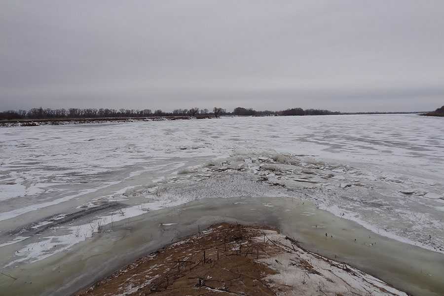 Вода в ахтубе сегодня. Зима Ахтуба. Средняя Ахтуба зима. Зимние фото река Ахтуба. Река Ахтуба загрязнение.