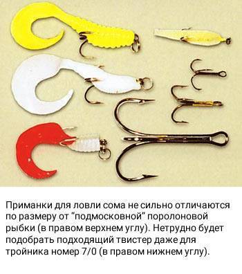 Рыбалка на сома. топ-3 способа | как поймать сома?