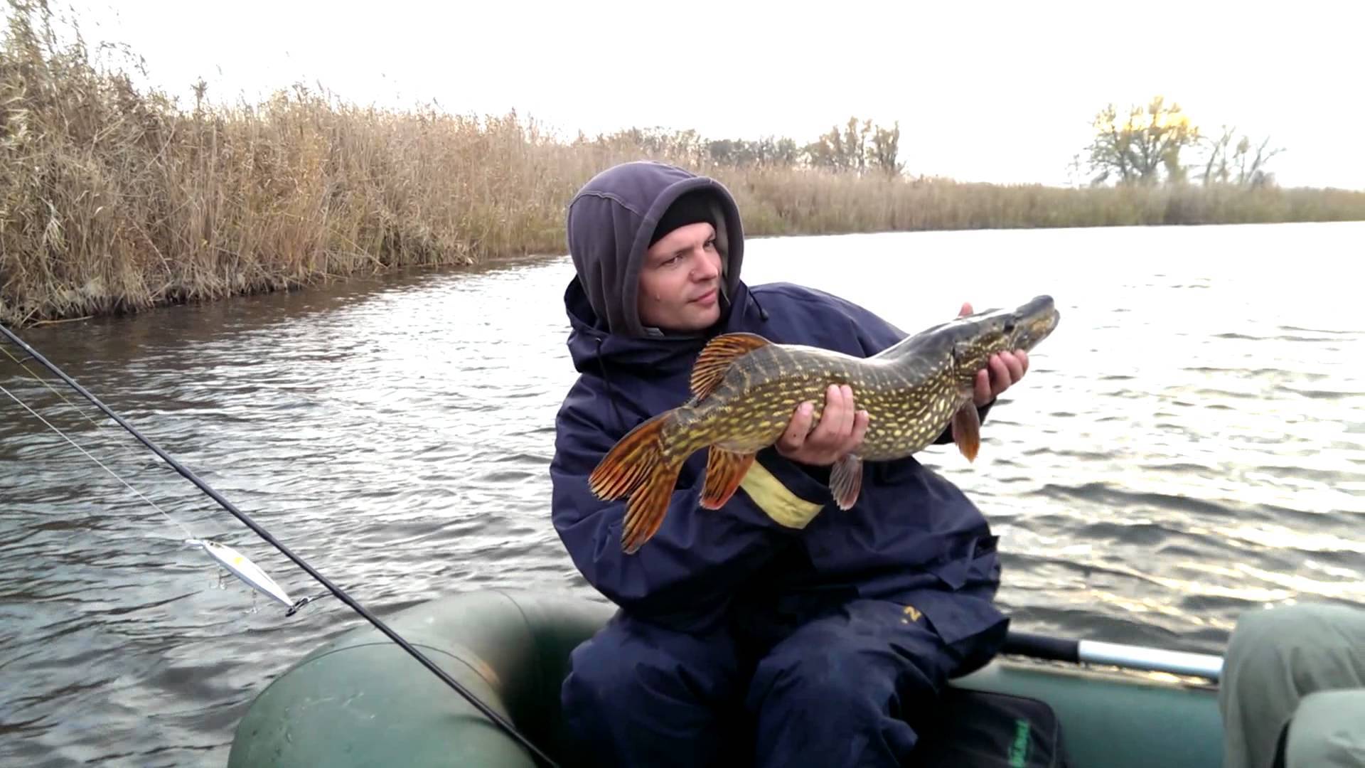 Рыбалка на суре — какие виды водятся в реке мордовии, особенности ловли