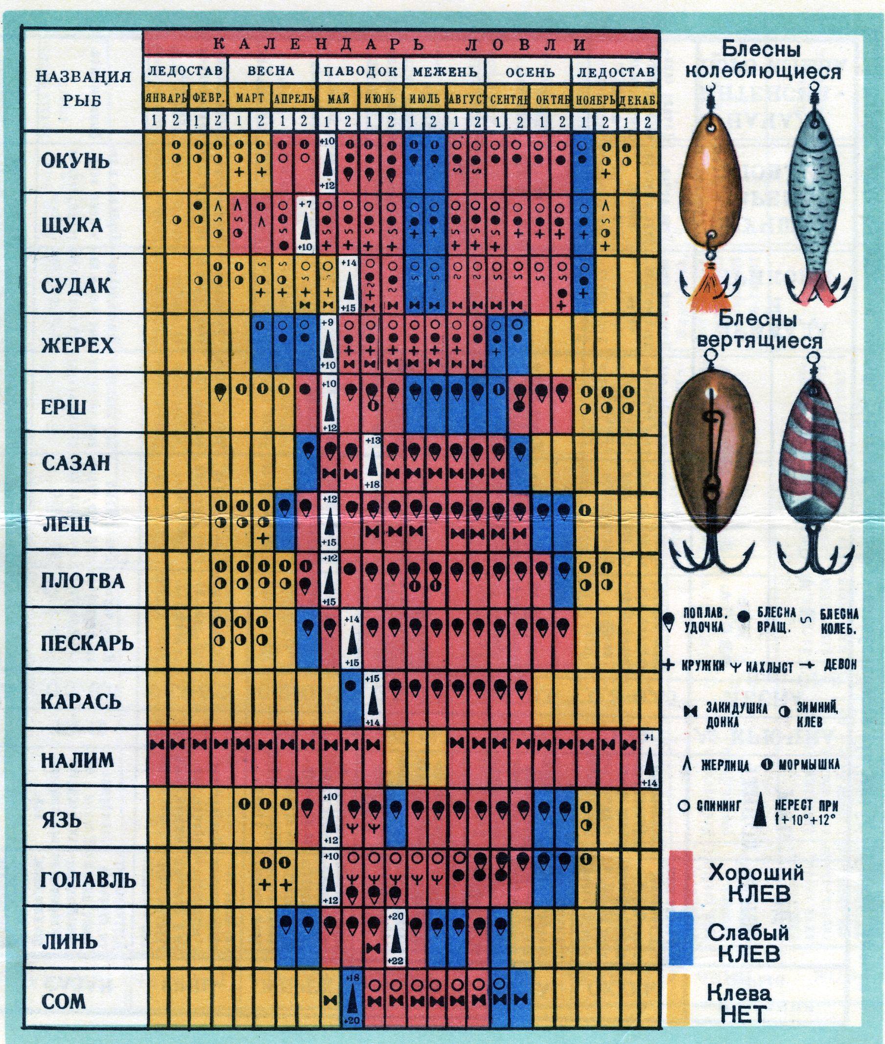 Рыба белый амур: польза и вред для организма