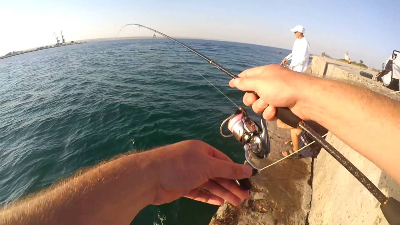 Рыбалка в августе: какую рыбу ловить в августе