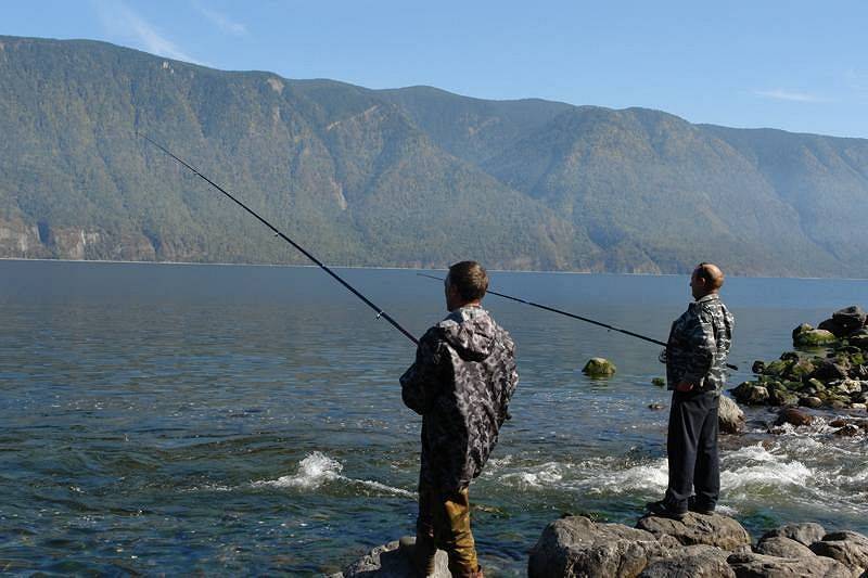 Алтайское озеро рыбалка. Рыбалка на Телецком озере. Телецкое озеро горный Алтай рыбалка. Рыба Телецкого озера Алтайский. Таймень Телецкого озера.
