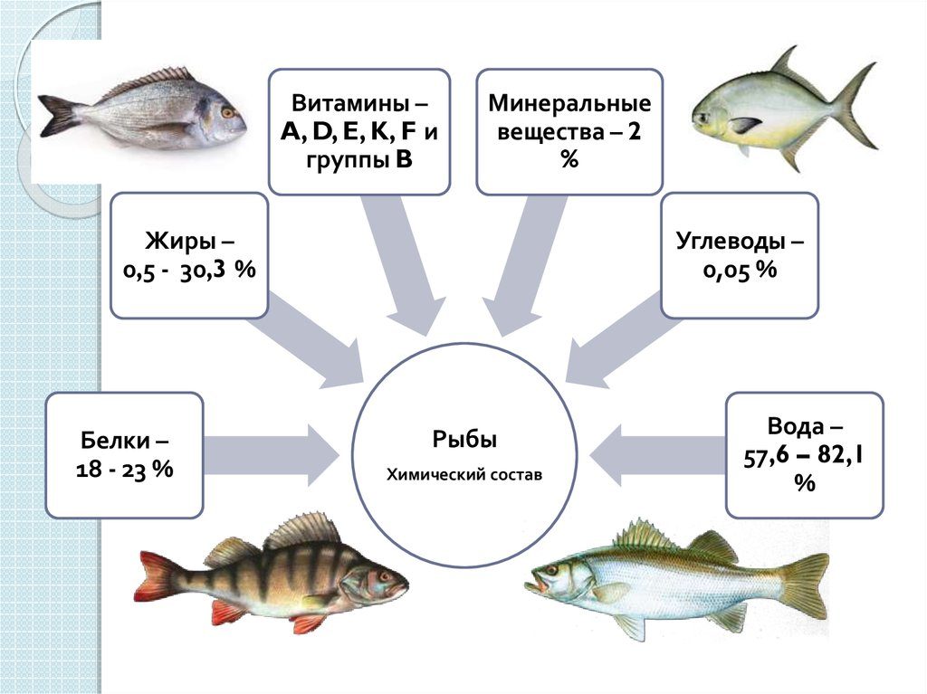Карась содержание полезных веществ, польза и вред, свойства, блюда