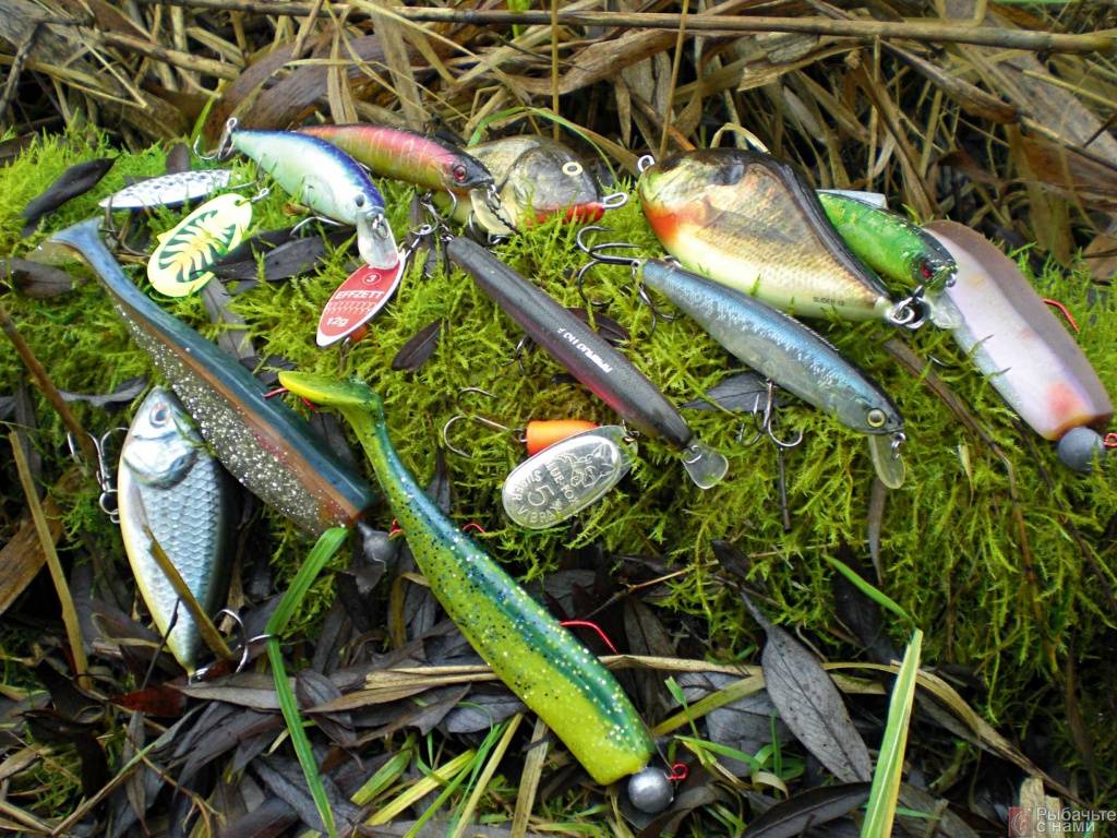 Трава не так проста. ловля щуки в траве. – отчеты о рыбалке | рыбак kamskibot