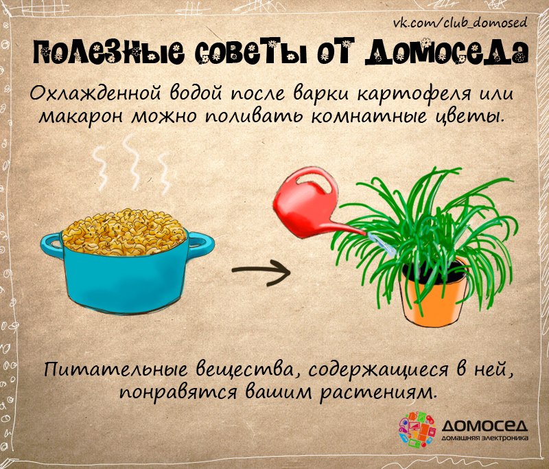 Правила натаскивания и дрессировки охотничьих собак