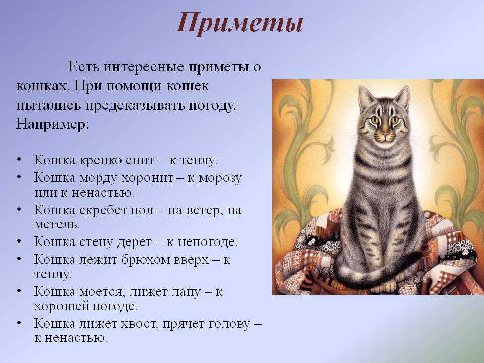Приметы и суеверия у рыбаков - на рыбалке!