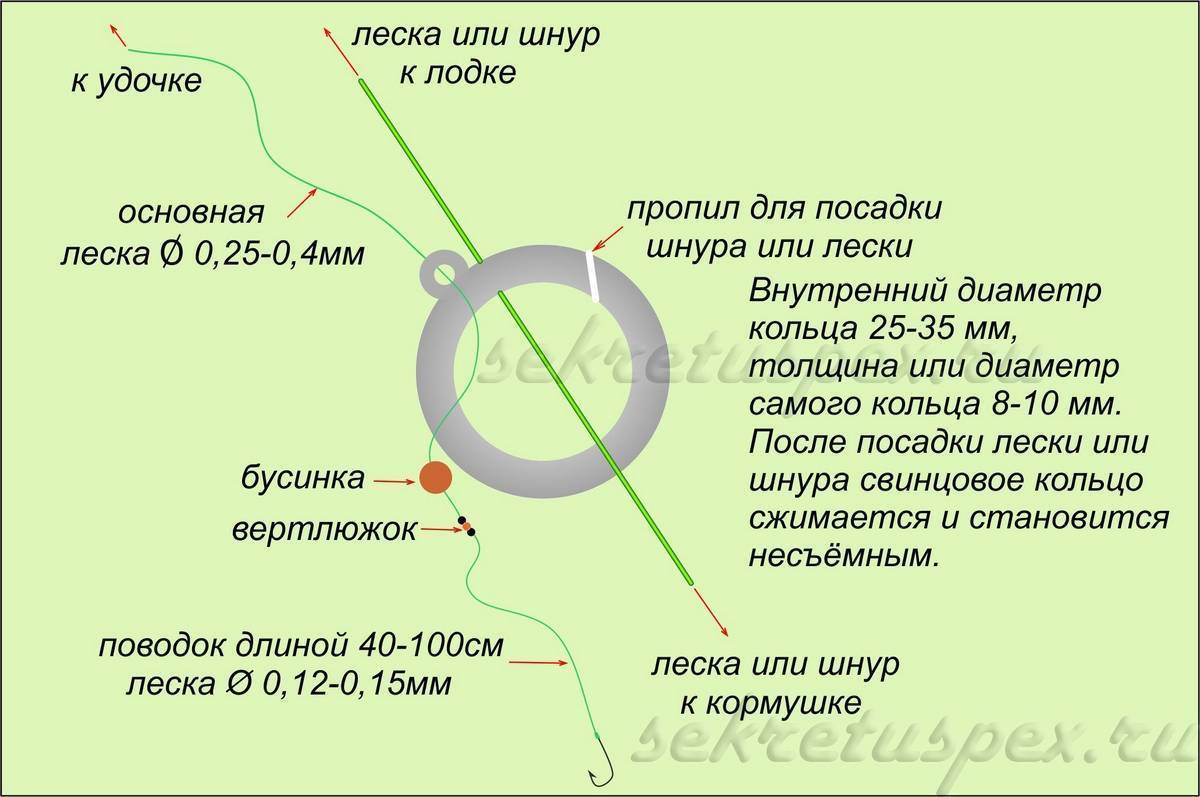 Ловля леща на кольцо: оснастка и прикормка :: syl.ru