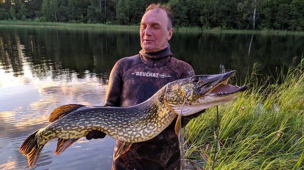 Зимняя рыбалка на Валдае