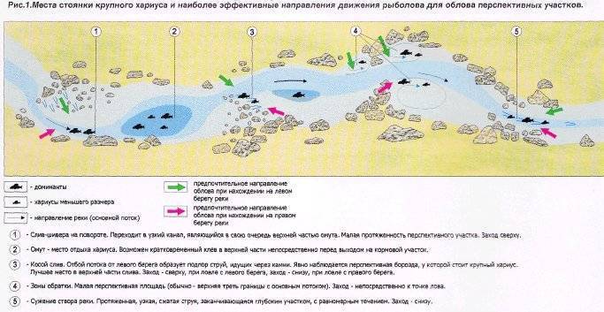Рыбалка на байкале: виды рыб, лучшие места, ограничения