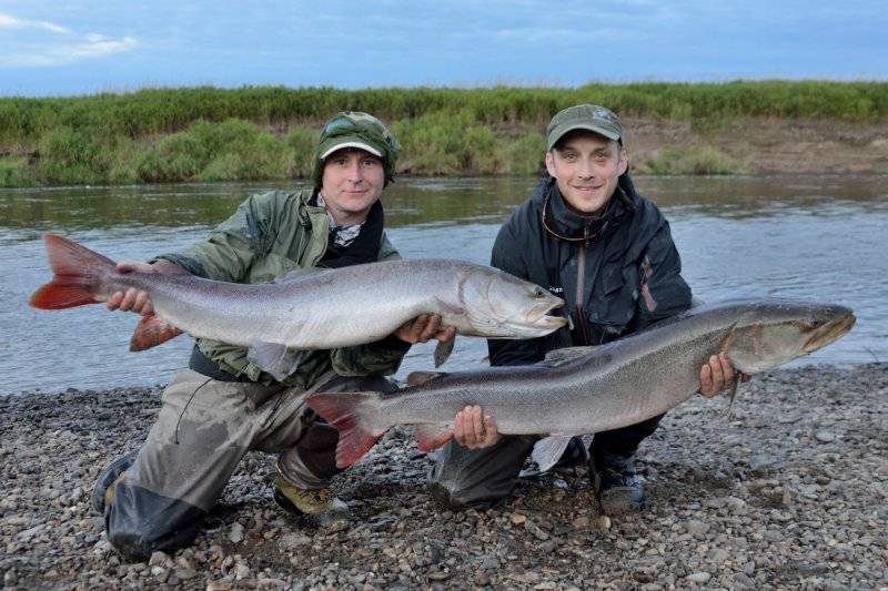 Рыбалка на суре — какие виды водятся в реке мордовии