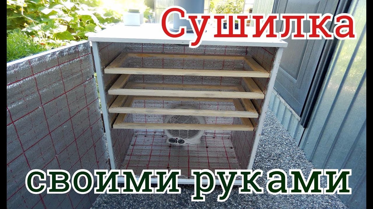 Самодельная сушилка для овощей и фруктов: электрическая, на солнце