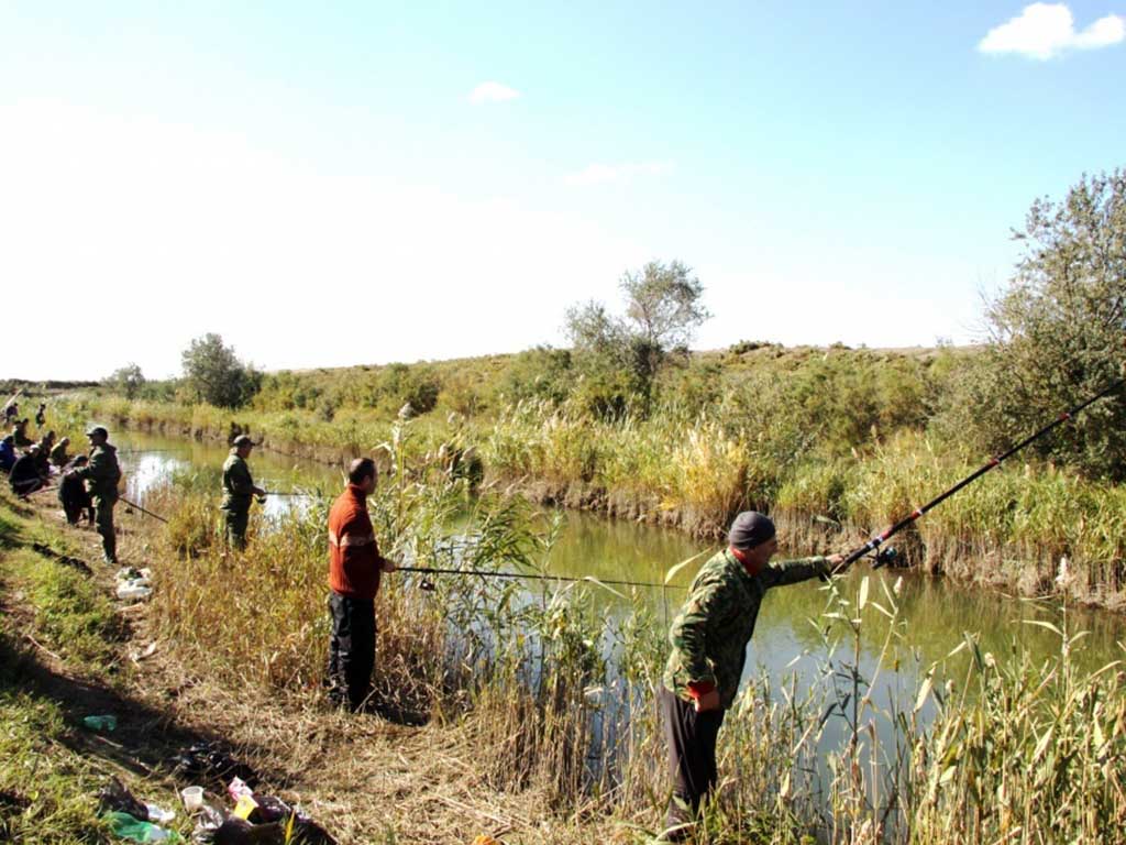 Республика дагестан: весенне-летний нерестовый запрет на рыбалку 2021 года
