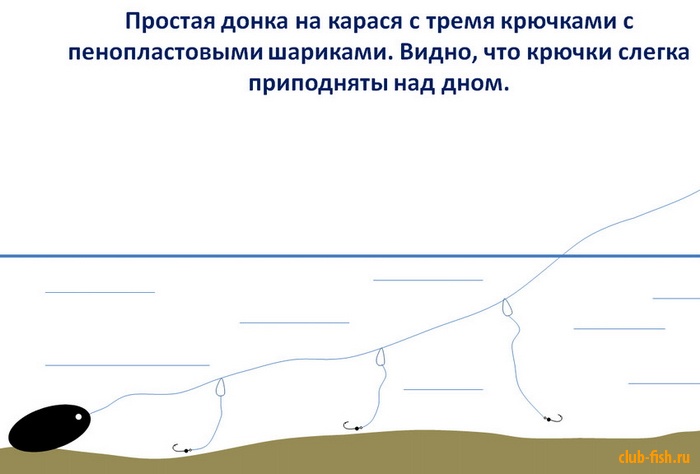 Какая леска нужна для ловли плотвы