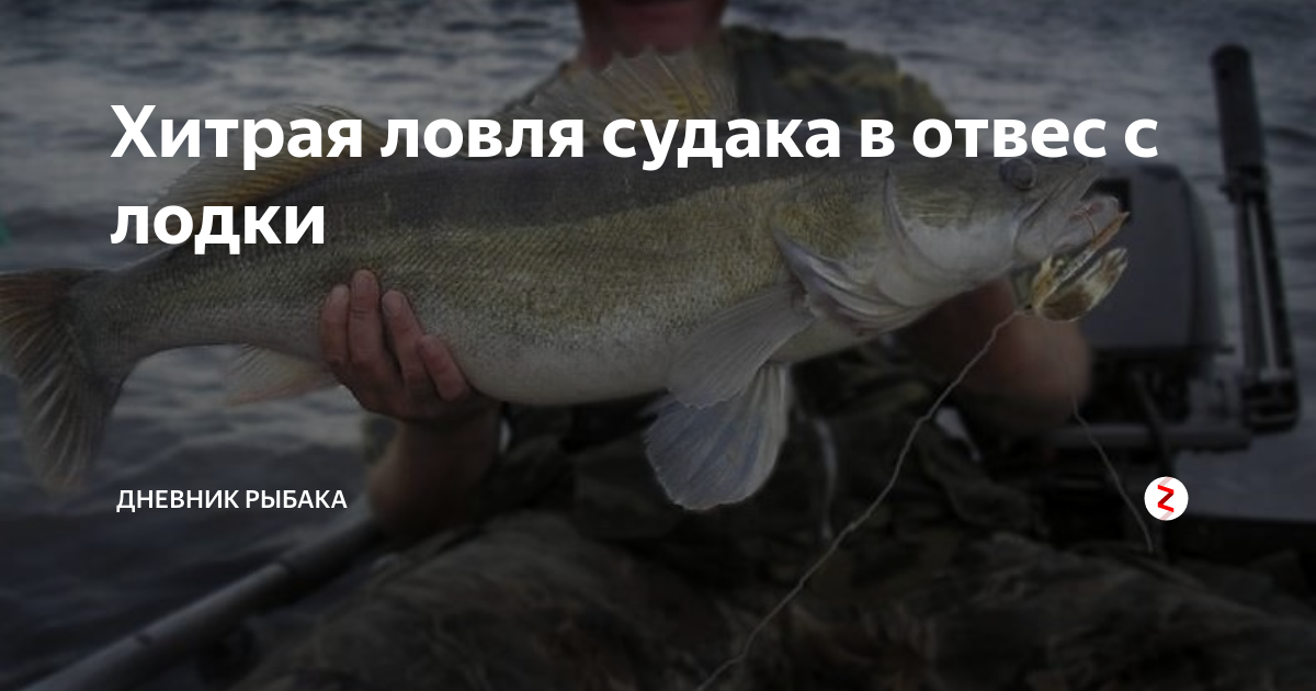 Ловля судака в отвес с лодки - читайте на сatcher.fish
