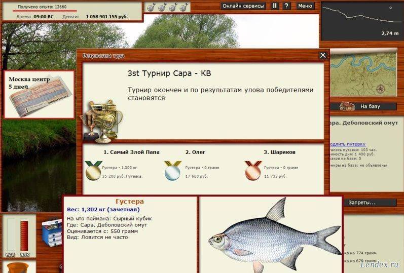 Густера рыба: фото, описание, отличия, места обитания, чем питается