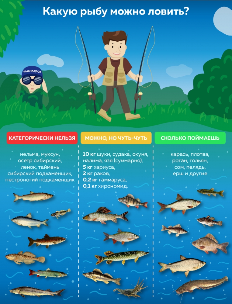 Что брать с собой на рыбалку: снасти для рыбалки