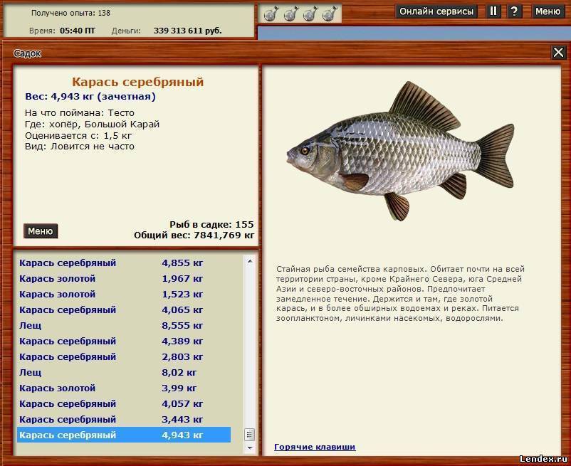 Как ловить сазана: рекомендации рыбакам :: syl.ru