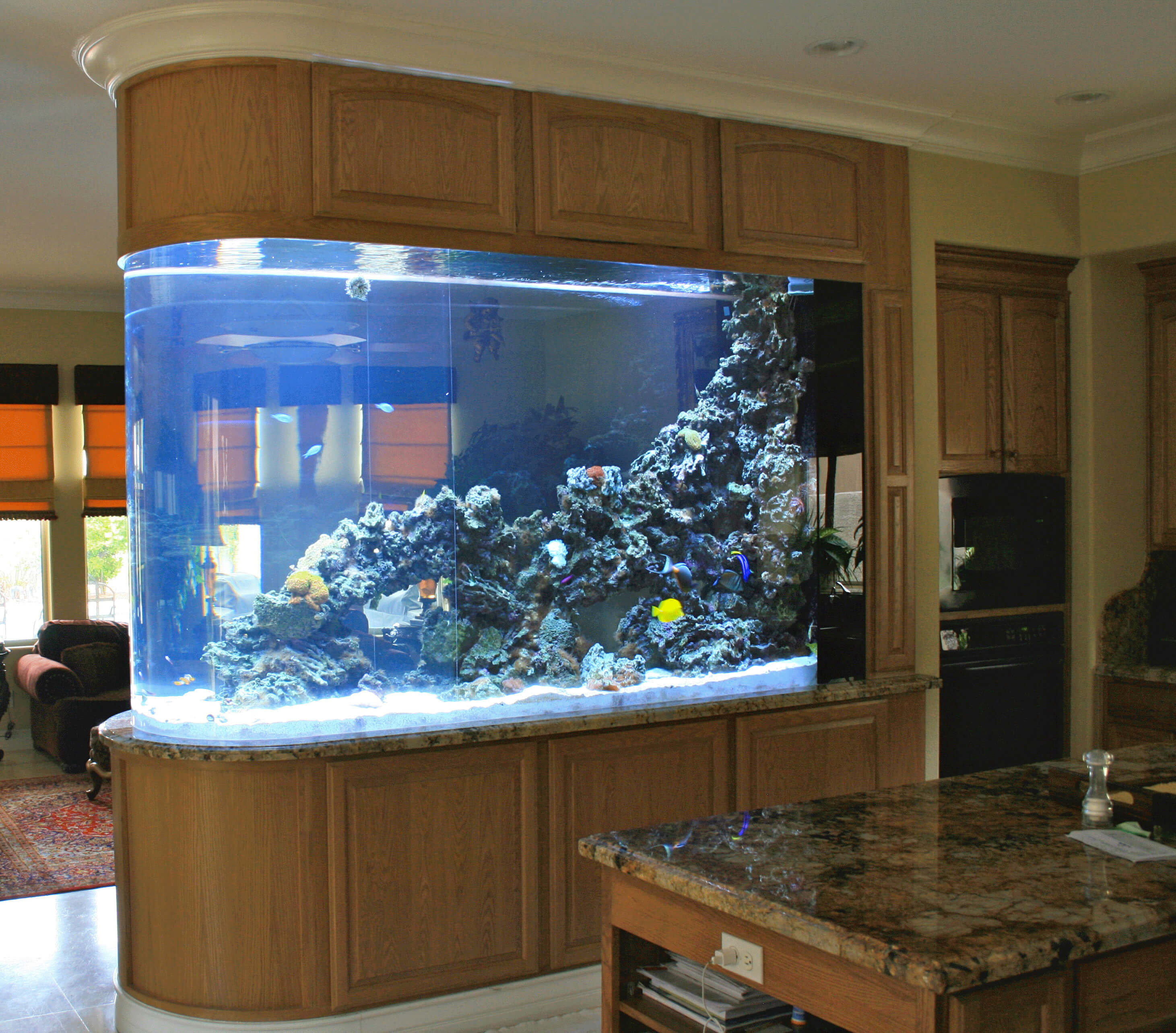 Дизайнерский аквариум. Красивые аквариумы. Красивый домашний аквариум. Большой красивый аквариум.