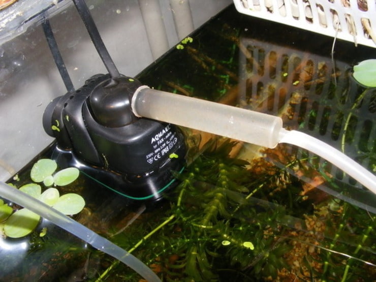 Самодельный эффективный биофильтр для аквариума