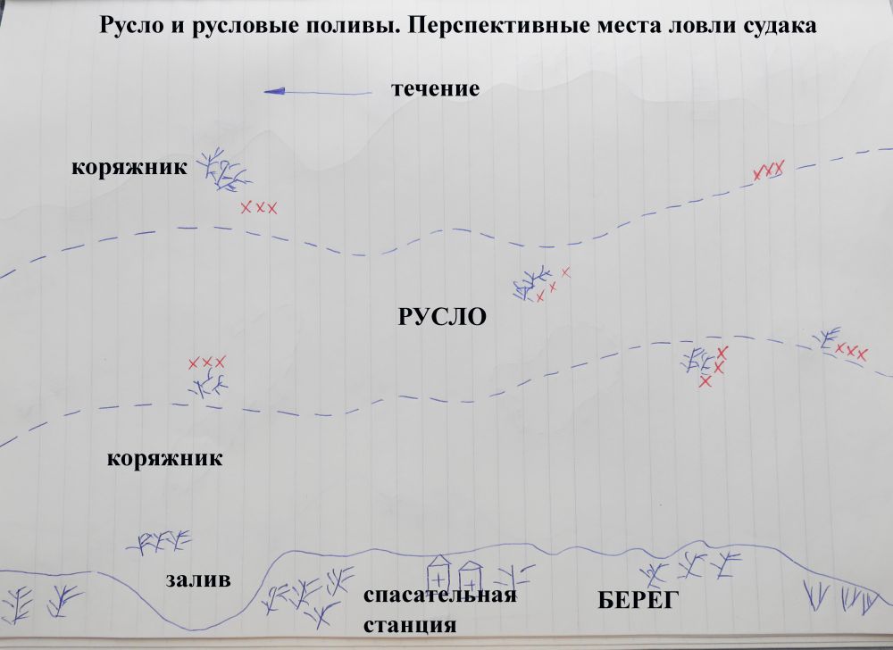 Ловля окуня зимой со льда, в декабре, январе, феврале, снасти, приманки