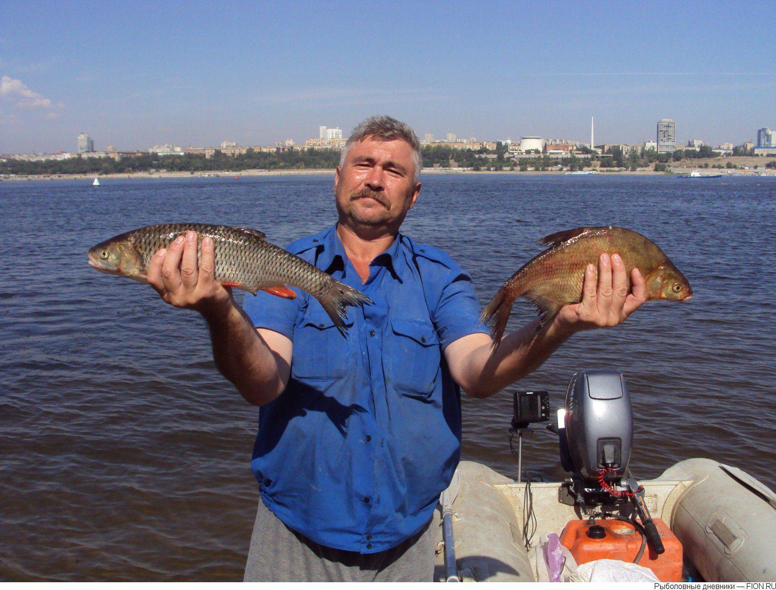 Рыбалка в Волгоградской области: лучшие места на карте ТОП-10