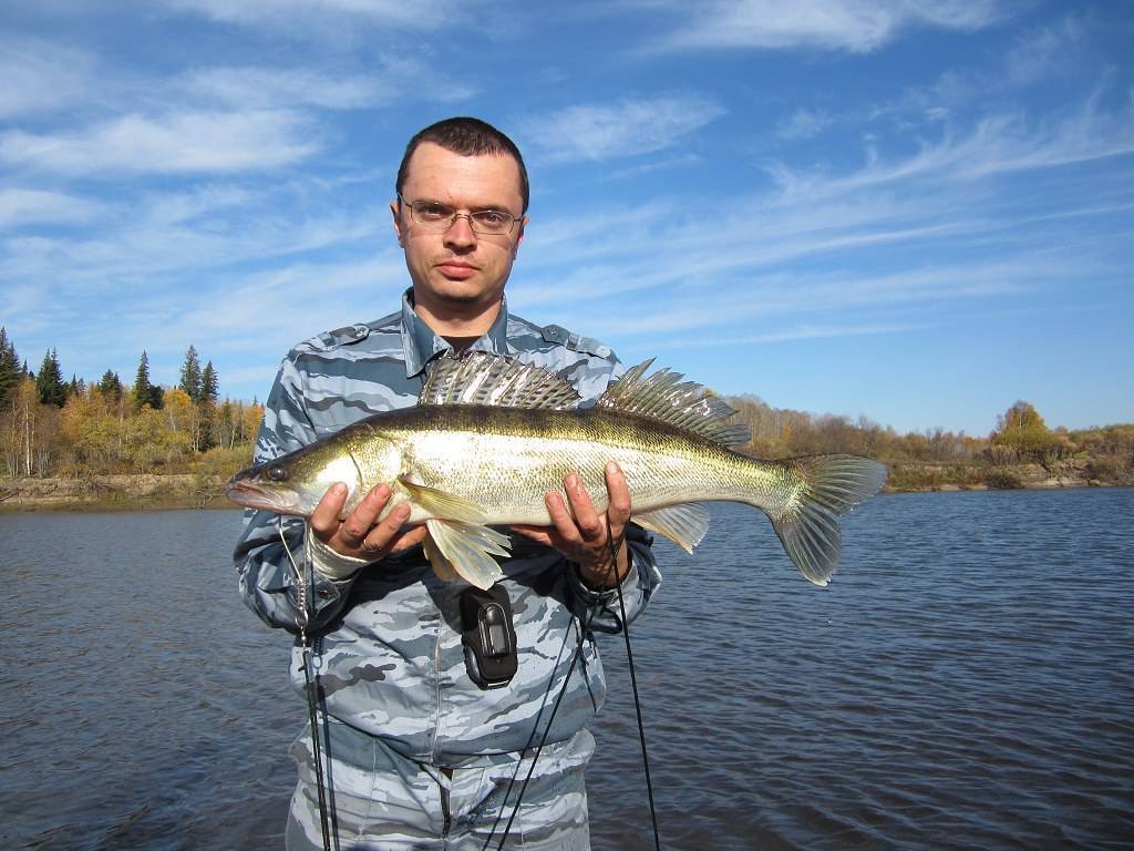 Рыбалка в кемеровской области и кемерово - fishingwiki