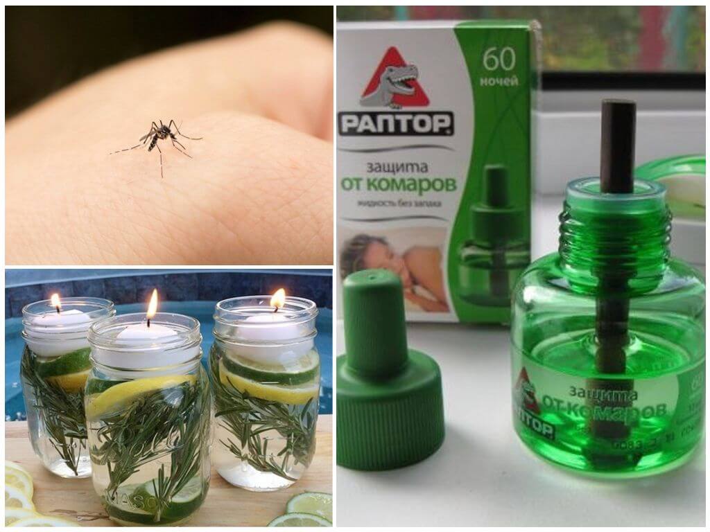 Средства для отпугивания комаров в квартире и на природе