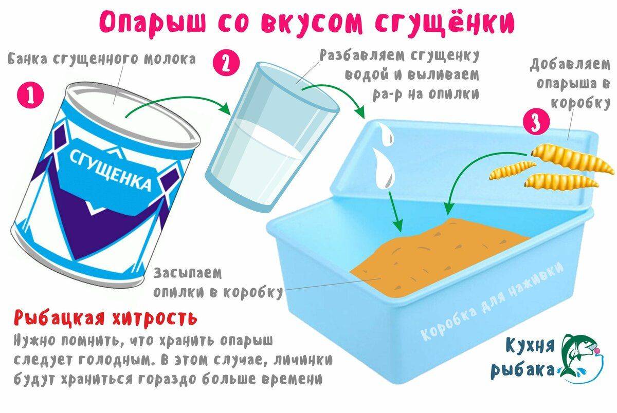 Как хранить опарыша: где правильно сохранить опарышей для рыбалки живыми в домашних условиях - хранение в холодильнике