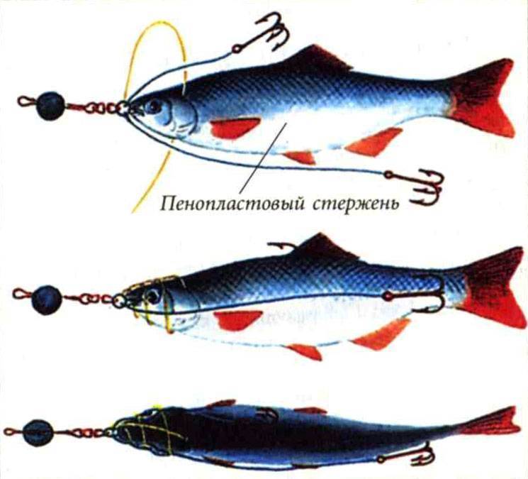 Снасточка для мертвой рыбки: описание и техника ловля хищной рыбы