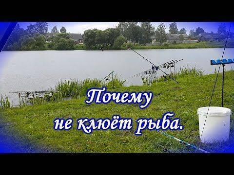 Что делать, если не клюет рыба
