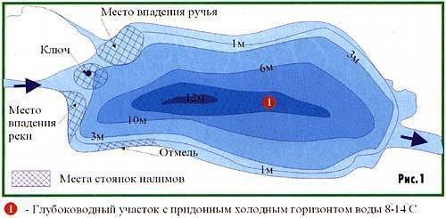 Ловля налима зимой