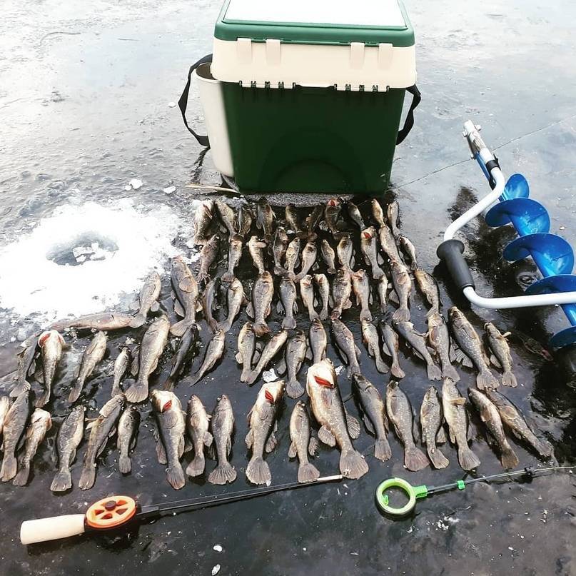 Рыбалка в липецкой области и в липецке - fishingwiki