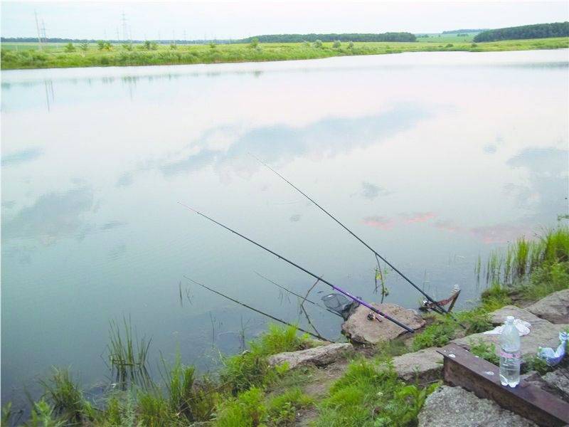 Платная рыбалка в забайкальском крае: рыболовные туры, охотничьи базы и водоемы забайкалья
