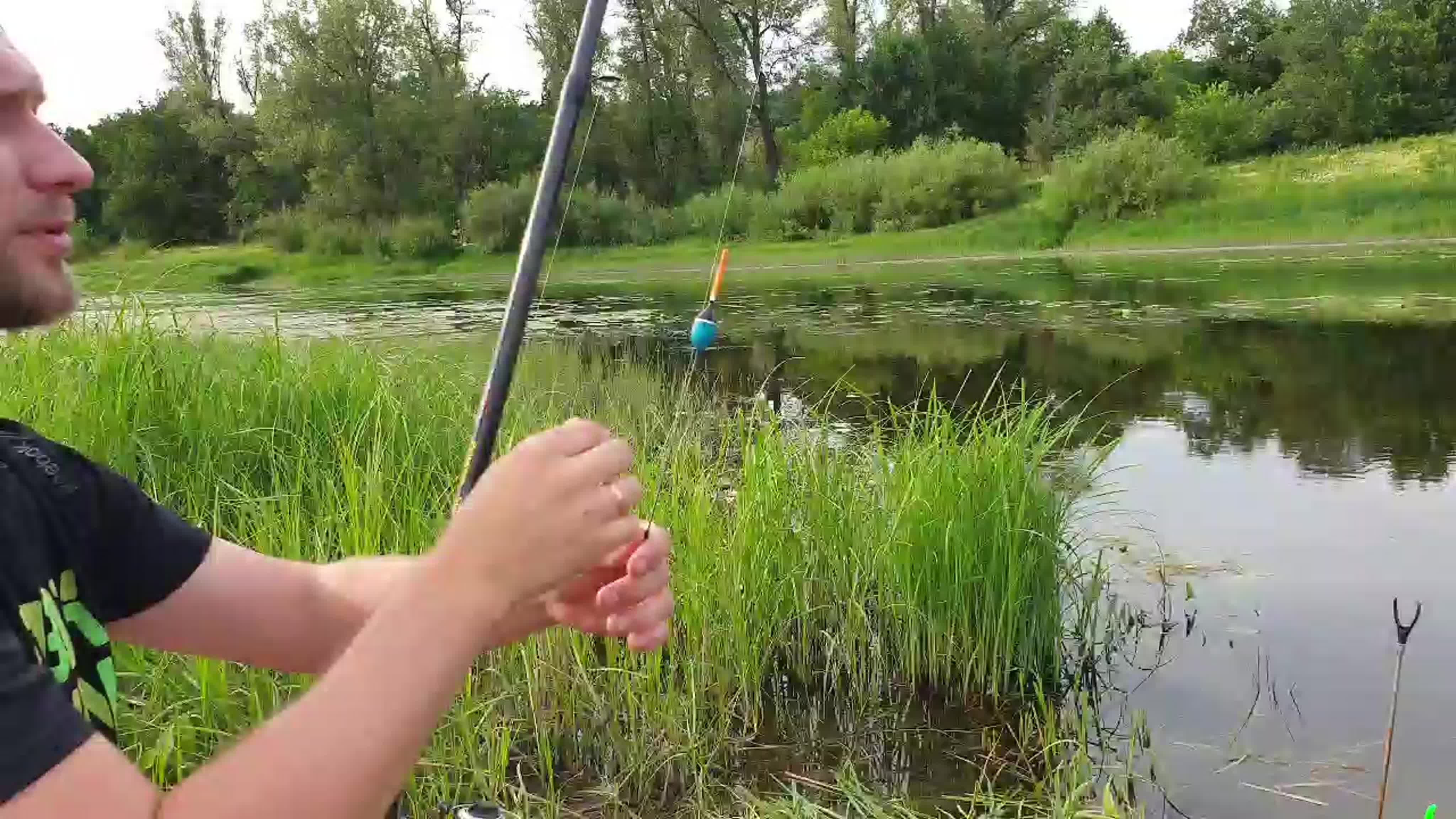 Ловля красноперки на поплавочную удочку – рыбалка онлайн