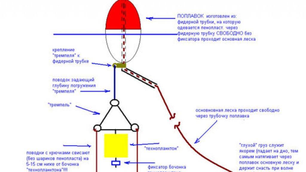 Секреты успешной ловли лобатого: снасти и приманки для толстолобика