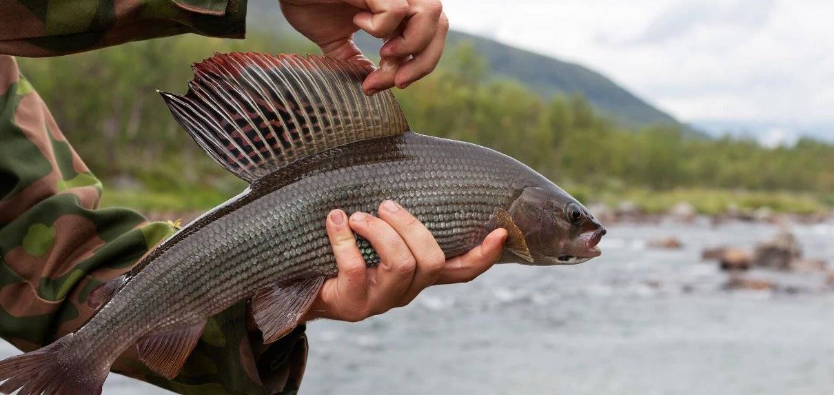 Рыбалка на озерах кольского полуострова