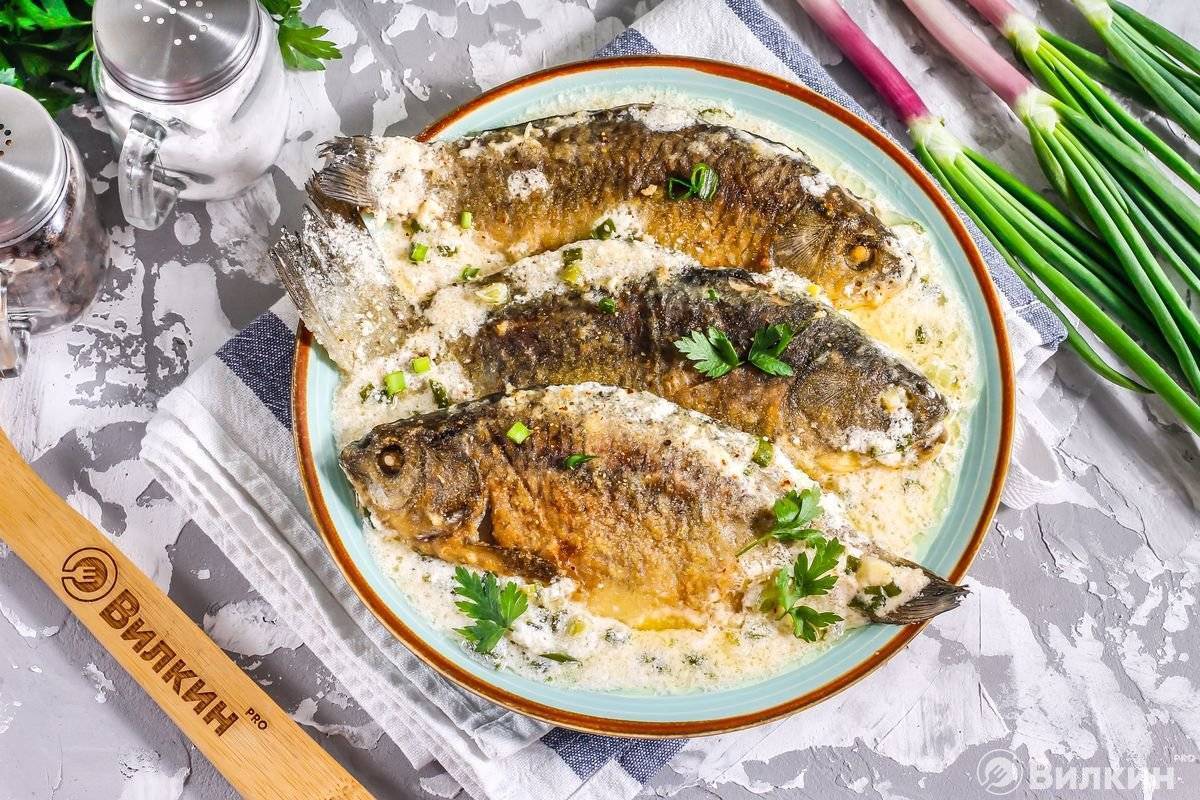 Караси в сметане – купеческие кушанья из прошлого. рецепты карася в сметане: жареного, печённого и в горшочках - автор екатерина данилова - журнал женское мнение