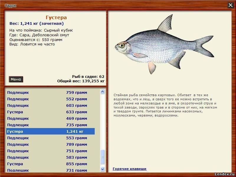 Подлещик - описание рыбы, образ жизни, нерест и отличие от леща