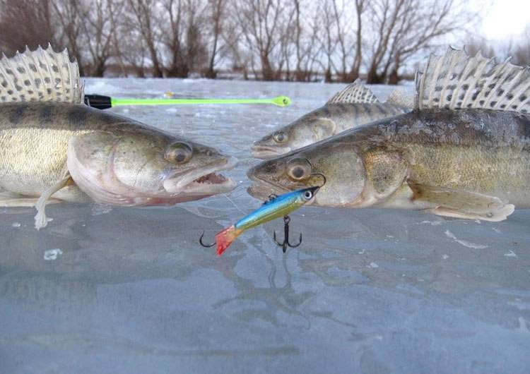 Особенности рыбалки по первому льду — важные моменты, тактика и снасти