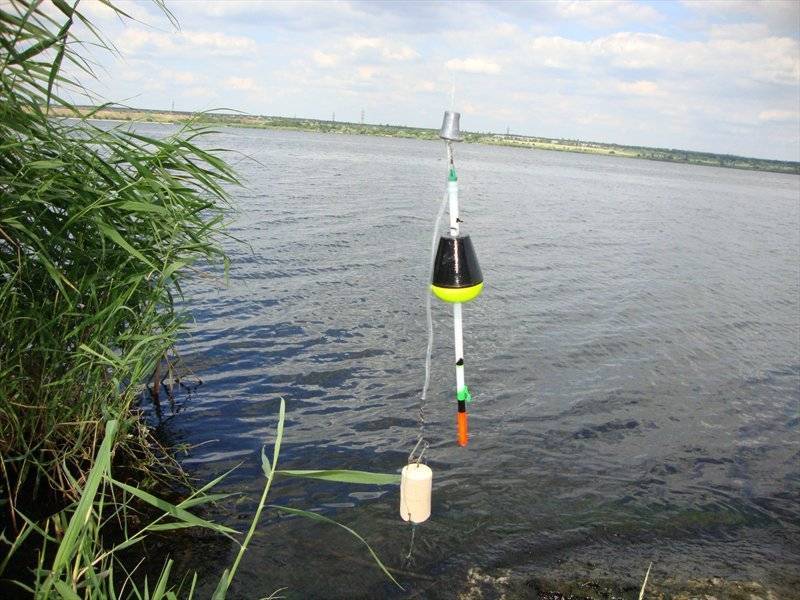 Ловля толстолобика на технопланктон: донные и поплавочные снасти, оснастка
