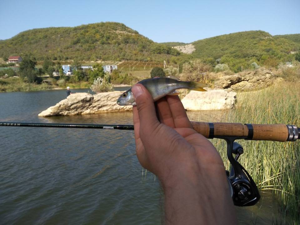 Платная рыбалка в крыму. Озеро Ачи Крым рыбалка. Вилино озеро Крым рыбалка. Крымская рыба на удочку.