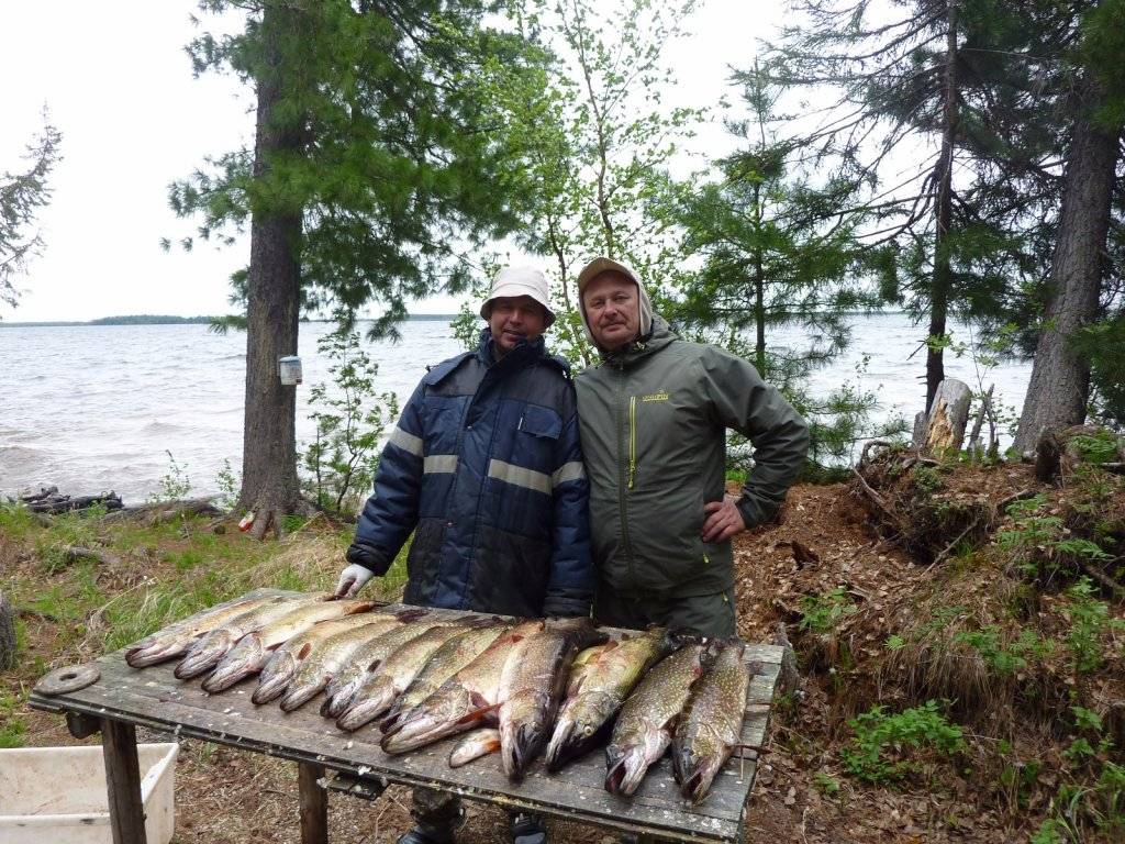 Рыбалка на волге: видео, лучшие места, ловля весной в низовьях реки